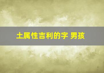 土属性吉利的字 男孩